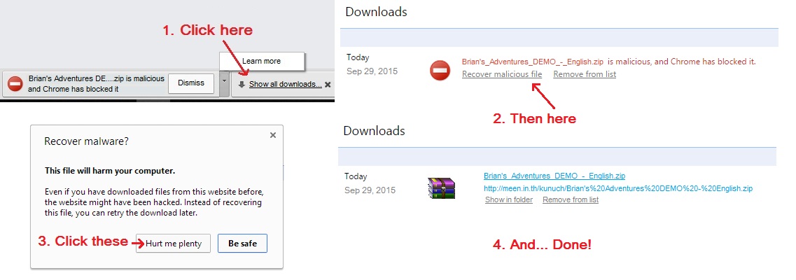 Google Chrome Issue